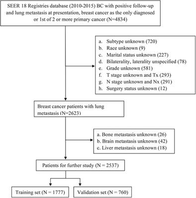 An effective tool for predicting survival in breast cancer patients with de novo lung metastasis: Nomograms constructed based on SEER